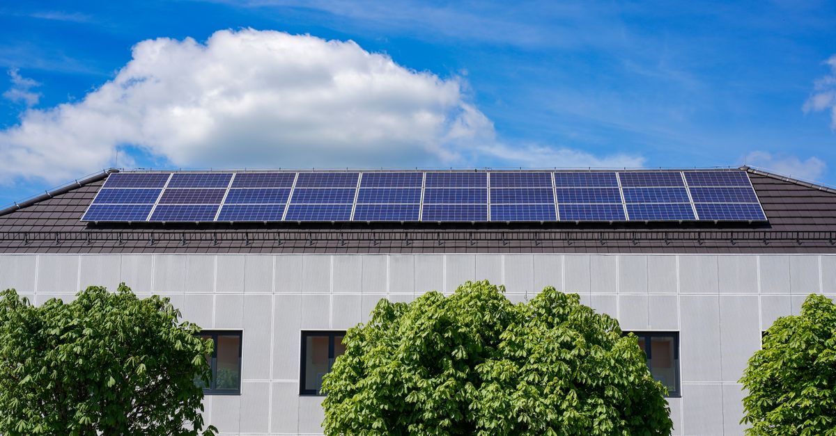 Enhancing Biodiversity Through Solar Energy Adoption